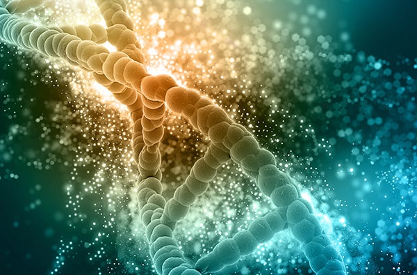 Kievit Scientific DNA