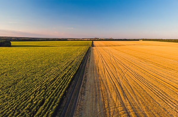 Kievit Scientific_fields Kievit Scientific Fields