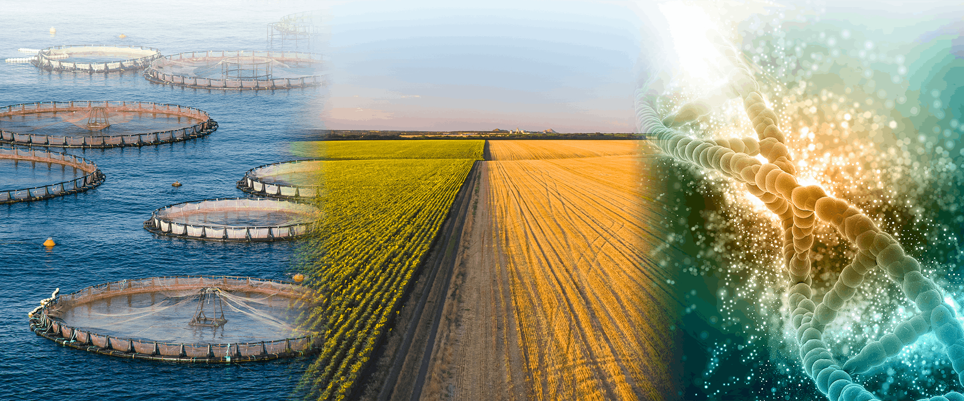 ライフサイエンスと<br/>一次産業の<br/>技術ベンチャーに<br/>世界へ道筋を。